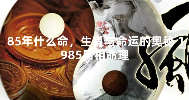 85年什么命，生肖与命运的奥秘 1985属相命理